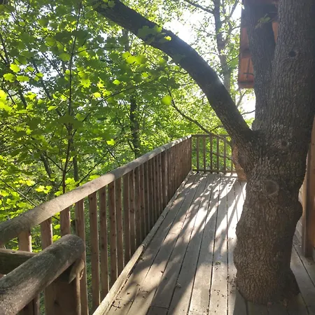 De La Bannette - Magnifique Dans Les Arbres, Vue Panoramique Dağ evi