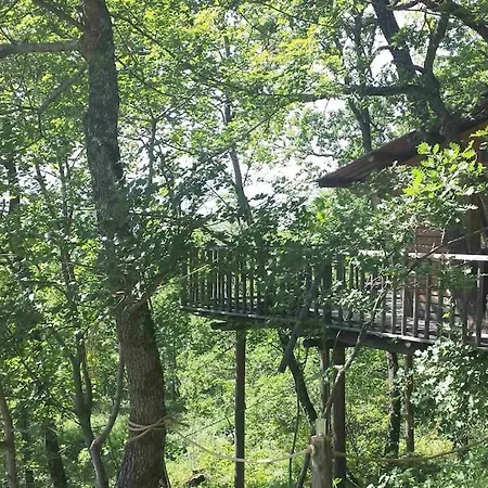 De La Bannette - Magnifique Dans Les Arbres, Vue Panoramique Horská chata *