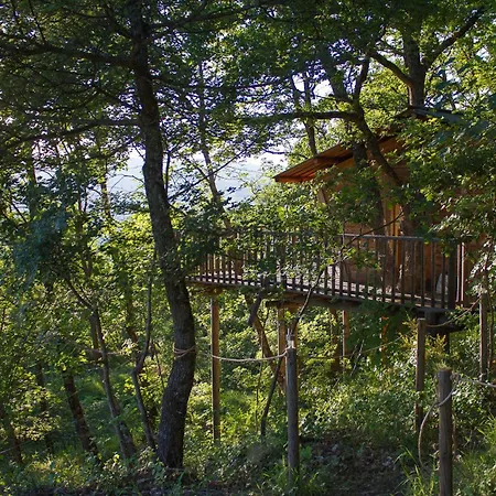 De La Bannette - Magnifique Dans Les Arbres, Vue Panoramique