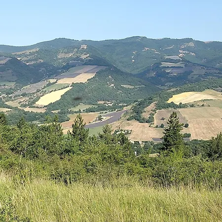 De La Bannette - Magnifique Dans Les Arbres, Vue Panoramique