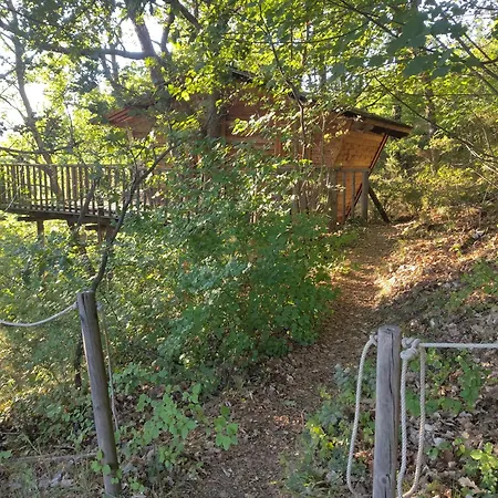 De La Bannette - Magnifique Dans Les Arbres, Vue Panoramique