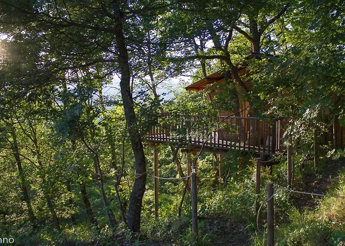 De La Bannette - Magnifique Dans Les Arbres, Vue Panoramique