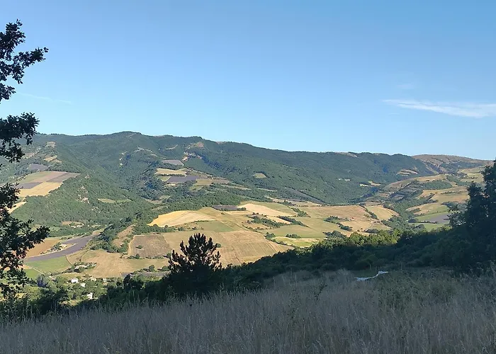 De La Bannette - Magnifique Dans Les Arbres, Vue Panoramique *